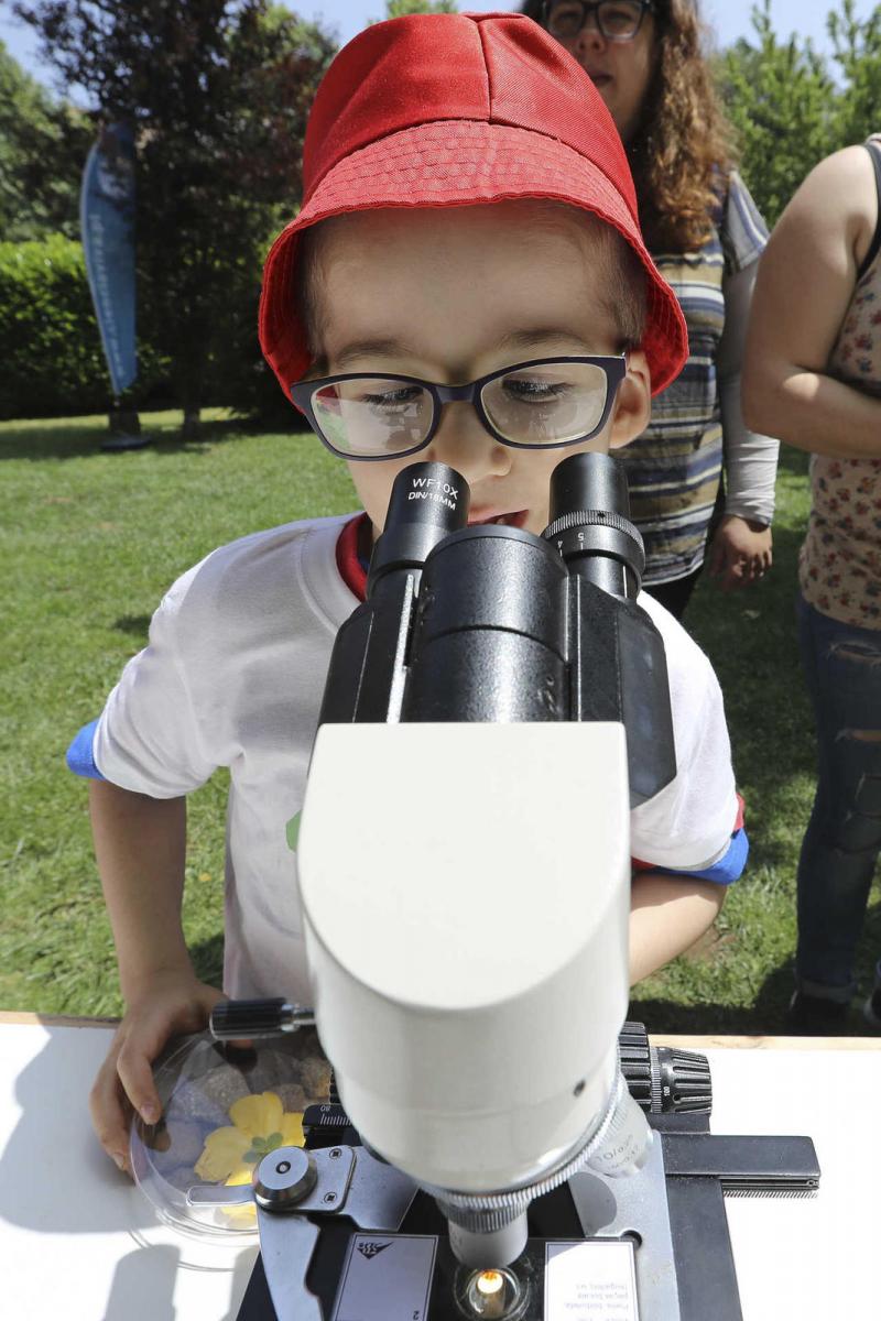 Crianças exploram o Parque Biológico de Gaia numa iniciativa da Ciencia Viva