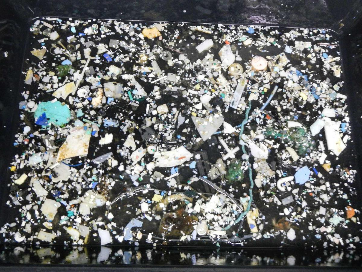 Great Pacific Garbage Patch found to have sixteen times more plastic than previously estimated